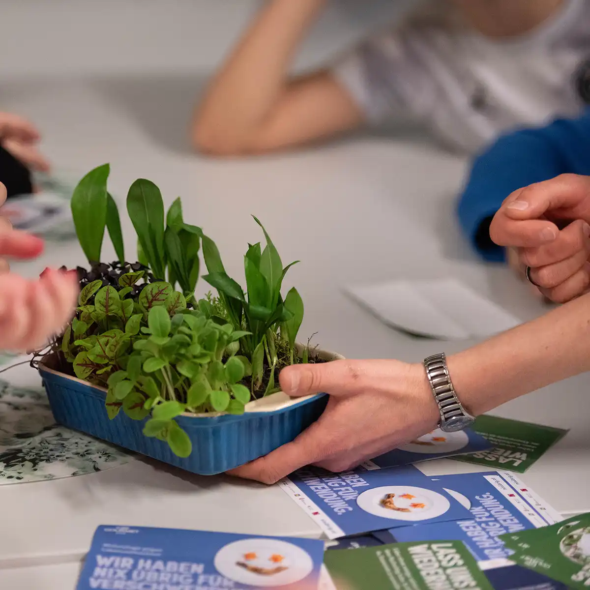 Eine Hand hält eine blaue Schale mit Kräutern drin und auf dem Tisch liegen Flyer der Stadt Salzburg