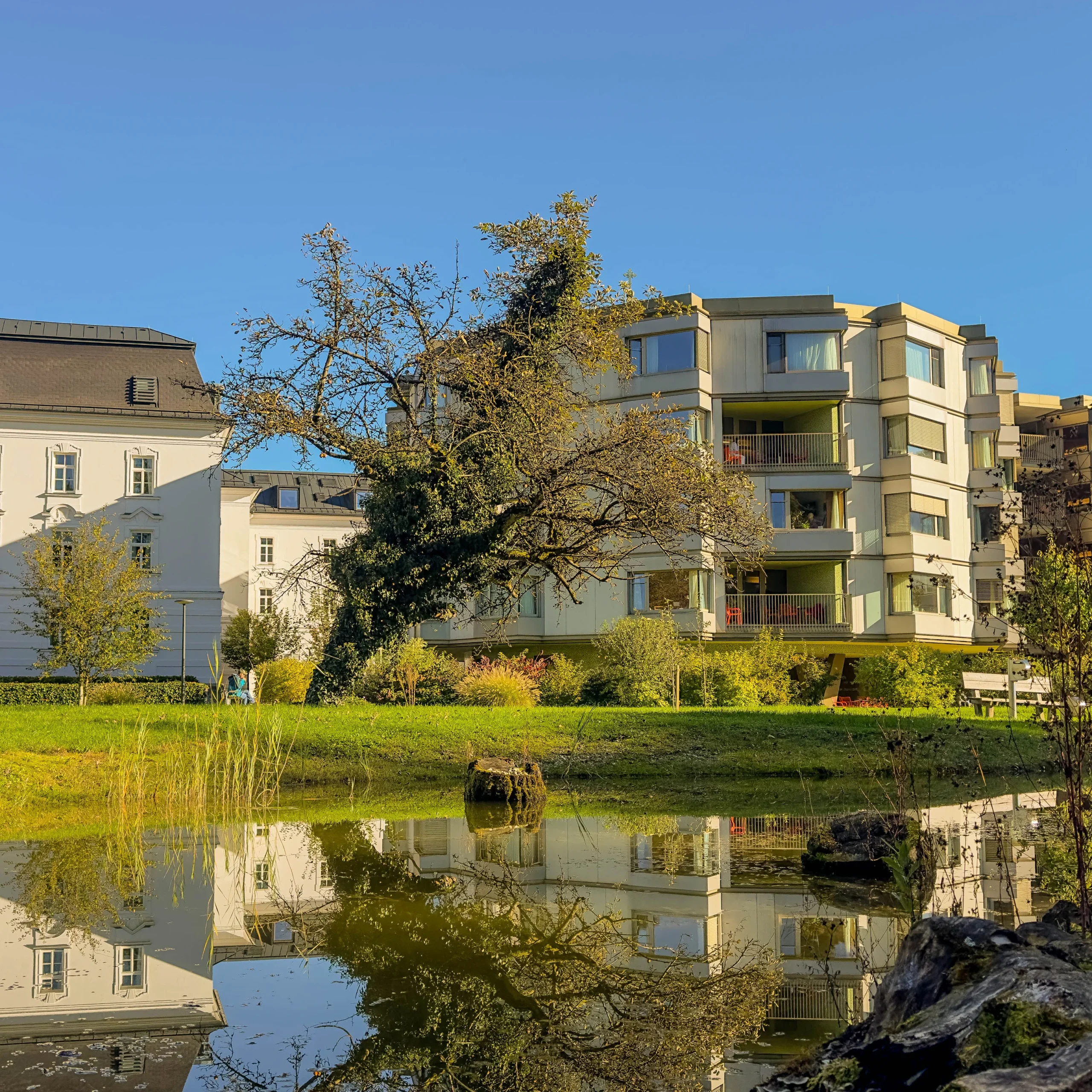 Wohnungen mit Wiese aufwendig aber eher natürlich bepflanzt mit Teich