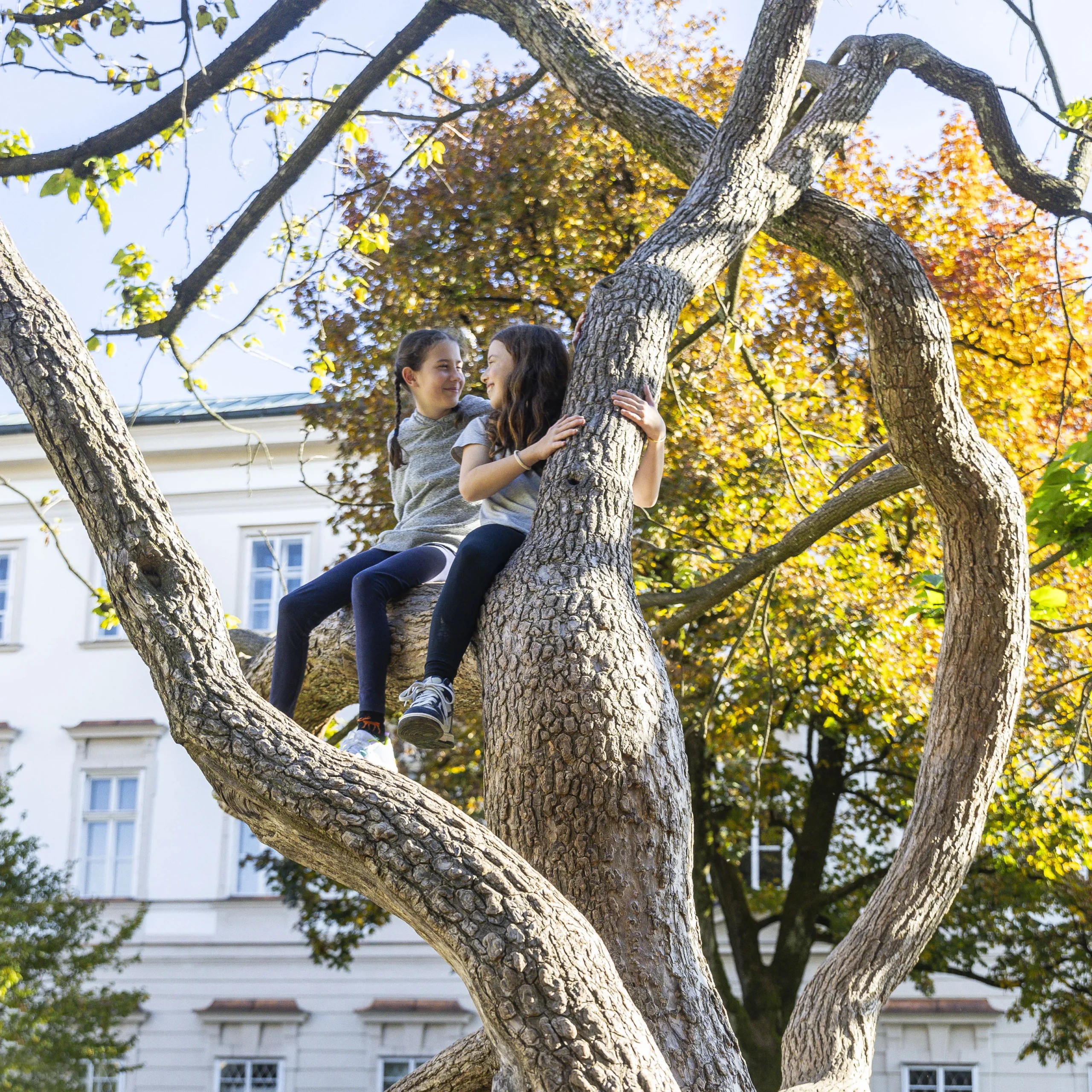 zwei Mädchen sitzen lachend auf einem Kletterbaum